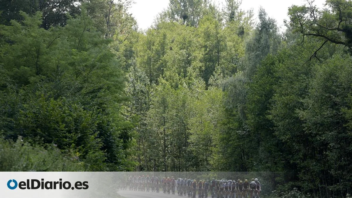 Los Vosgos acogen etapas clave de alta montaña en el Tour de Francia